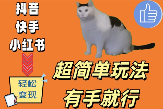 超简单玩法，有手就行，靠猫咪视频日入500+【揭秘】-Xiaobei云