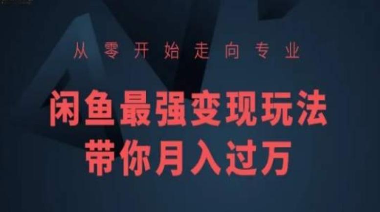从零开始走向专业，闲鱼最强变现玩法带你月入过万-Xiaobei云