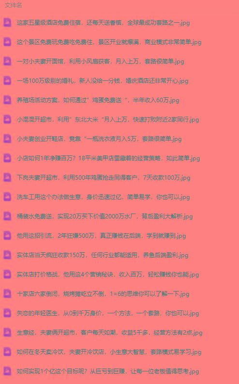 图片[2]-(9607期)真实有效391套商业模式，年入几十到几百万案例解析(电子书+视频+图文)-Xiaobei云