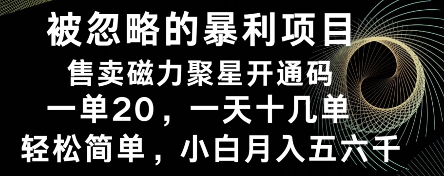 被忽略的暴利项目！售卖磁力聚星开通码，一单20，一天十几单，轻松月入五六千-Xiaobei云