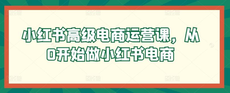 小红书高级电商运营课，从0开始做小红书电商-Xiaobei云