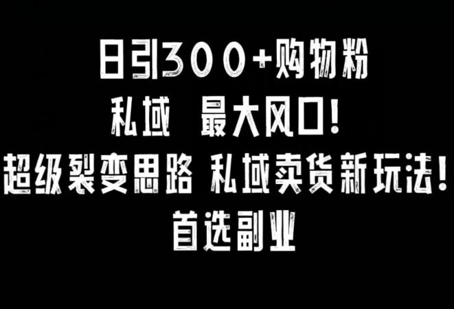 日引300+购物粉，超级裂变思路，私域卖货新玩法，小红书首选副业【揭秘】-Xiaobei云