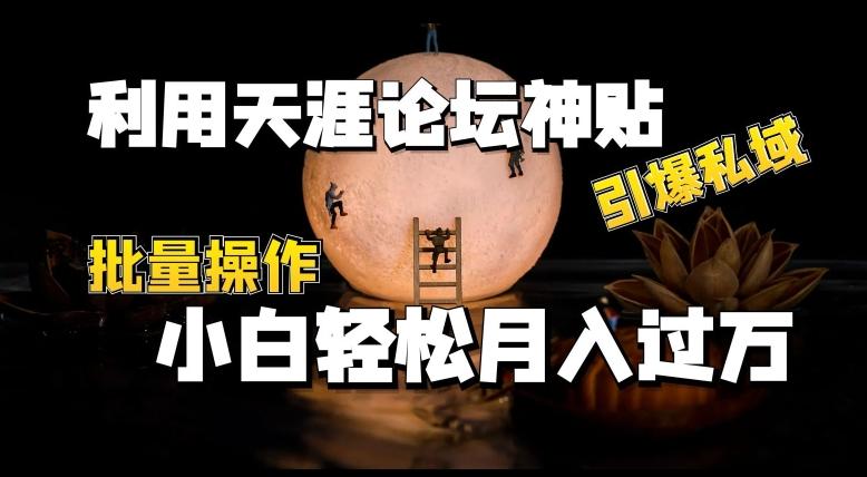 利用天涯论坛神贴，引爆私域，批量操作，小白轻松月入过w【揭秘】-Xiaobei云