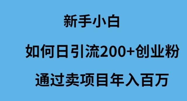 (9668期)新手小白如何日引流200+创业粉通过卖项目年入百万-Xiaobei云