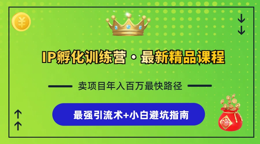 IP孵化训练营，知识付费全流程+最强引流术+小白避坑指南-Xiaobei云