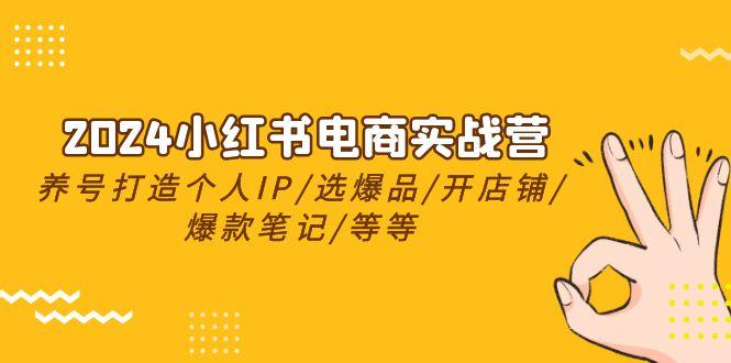 2024小红书电商实战营，养号打造IP/选爆品/开店铺/爆款笔记/等等(24节)-Xiaobei云