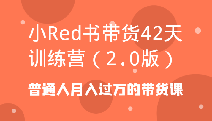 小Red书带货42天训练营(2.0版)普通人月入过万的带货课-Xiaobei云