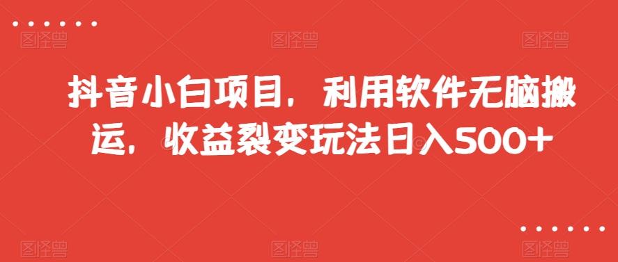 抖音小白项目，利用软件无脑搬运，收益裂变玩法日入500+【揭秘】-Xiaobei云