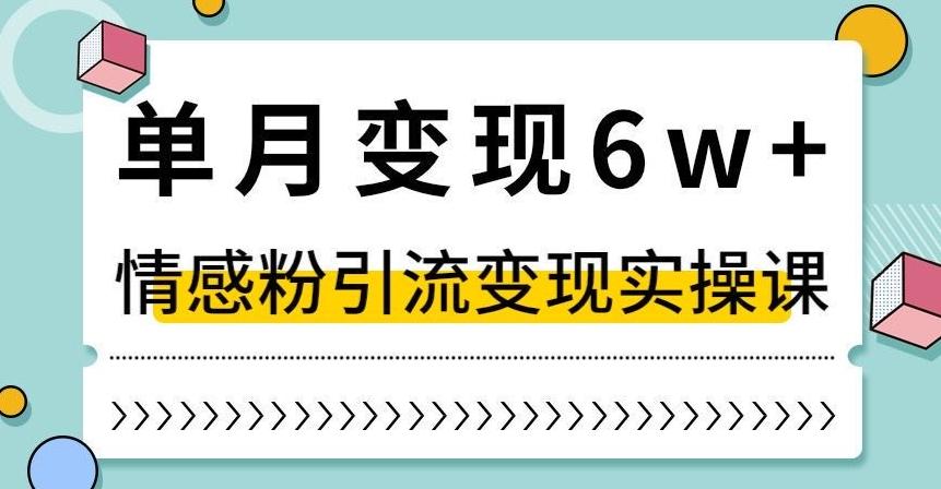 单月变现6W+，抖音情感粉引流变现实操课，小白可做，轻松上手，独家赛道【揭秘】-Xiaobei云