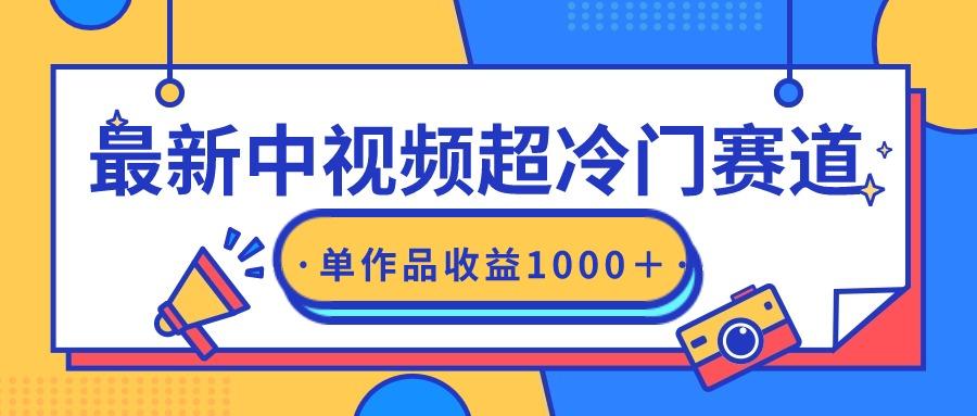 (9275期)最新中视频超冷门赛道，轻松过原创，单条视频收益1000＋-Xiaobei云