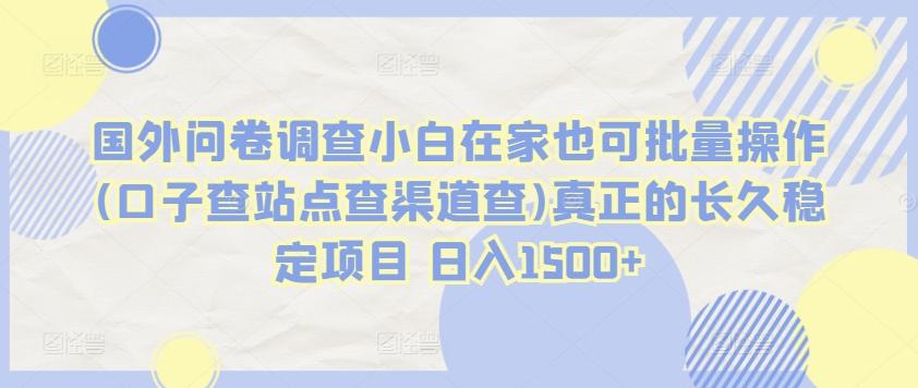 国外问卷调查小白在家也可批量操作(口子查站点查渠道查)真正的长久稳定项目 日入1500+【揭秘】-Xiaobei云