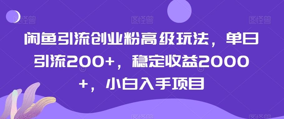闲鱼引流创业粉高级玩法，单日引流200+，稳定收益2000+，小白入手项目-Xiaobei云