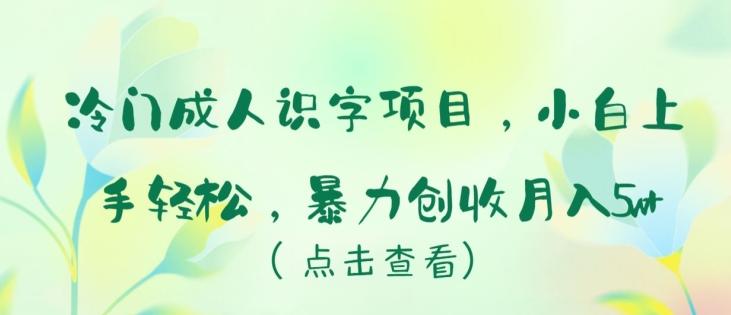 冷门成人识字项目，小白上手轻松，暴力创收月入5w+【揭秘】-Xiaobei云