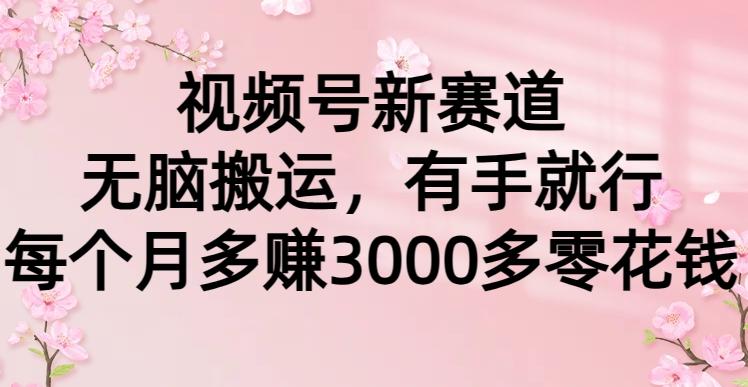 (9278期)视频号新赛道，无脑搬运，有手就行，每个月多赚3000多零花钱-Xiaobei云