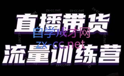 婉婉·直播带货课程系列合集(更新8月)-Xiaobei云