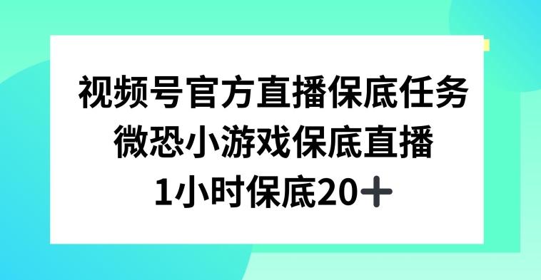 视频号直播任务，微恐小游戏，1小时20+【揭秘】-Xiaobei云