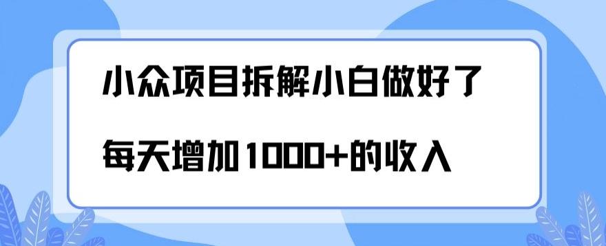 小众项目拆解，小白做好了每天可增加1000多的收入-Xiaobei云