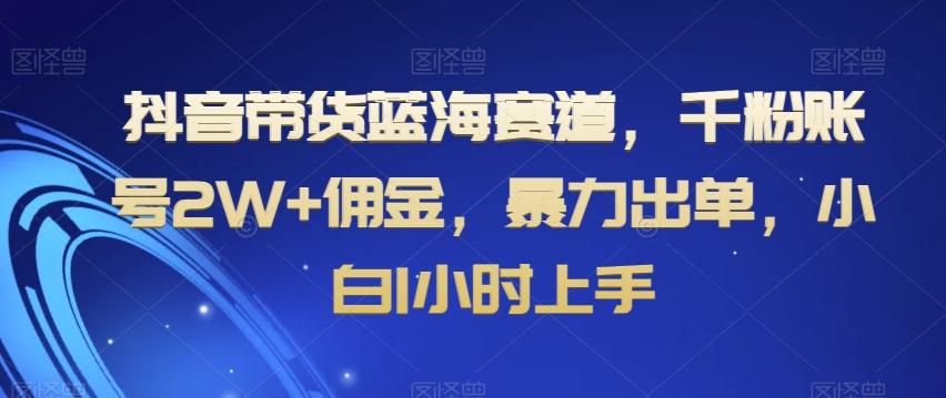抖音带货蓝海赛道，千粉账号2W+佣金，暴力出单，小白1小时上手【揭秘】-Xiaobei云