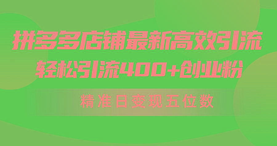 (10041期)拼多多店铺最新高效引流术，轻松引流400+创业粉，精准日变现五位数！-Xiaobei云