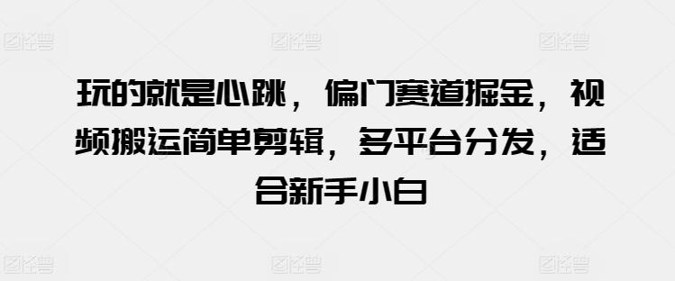 玩的就是心跳，偏门赛道掘金，视频搬运简单剪辑，多平台分发，适合新手小白【揭秘】-Xiaobei云