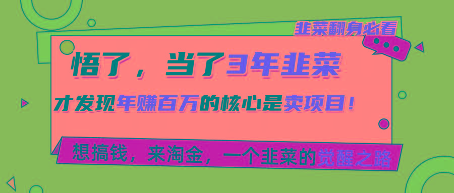 悟了，当了3年韭菜，才发现网赚圈年赚100万的核心是卖项目，含泪分享！-Xiaobei云