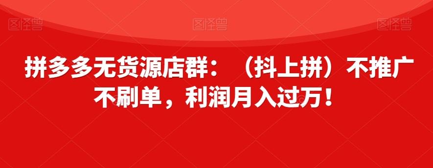 拼多多无货源店群：（抖上拼）不推广不刷单，利润月入过万！【揭秘】-Xiaobei云