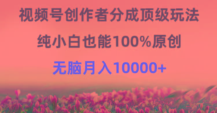(9608期)视频号创作者分成顶级玩法，纯小白也能100%原创，无脑月入10000+-Xiaobei云