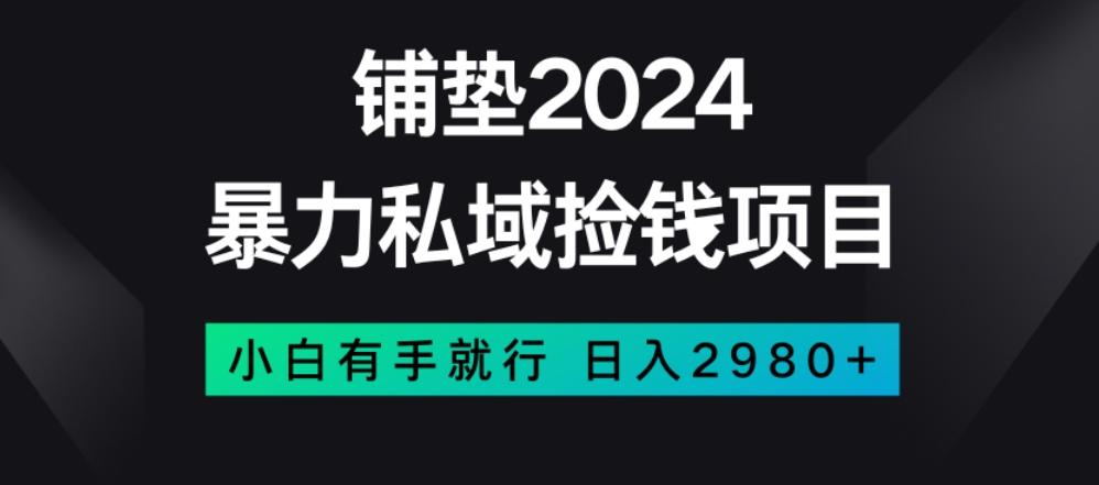 暴力私域捡钱项目，小白无脑操作，日入2980【揭秘】-Xiaobei云