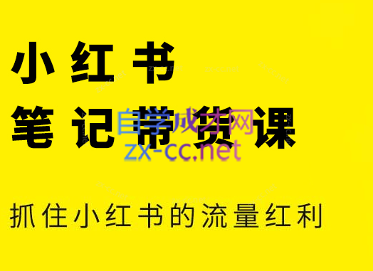 张宾·小红书笔记带货课(更新24年7月)-Xiaobei云