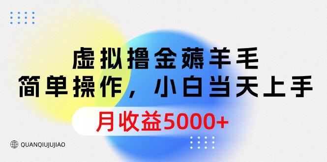 (9864期)虚拟撸金薅羊毛，简单操作，小白当天上手，月收益5000+-Xiaobei云