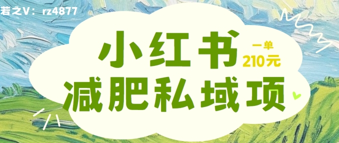 小红书减肥粉，私域变现项目，一单就达210元，小白也能轻松上手【揭秘】-Xiaobei云