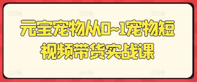 元宝宠物从0~1宠物短视频带货实战课-Xiaobei云