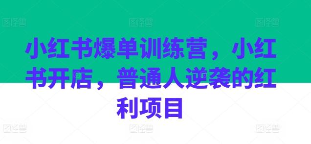 小红书爆单训练营，小红书开店，普通人逆袭的红利项目-Xiaobei云