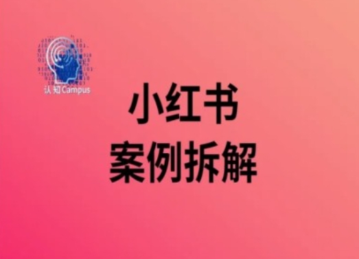 小红书案例拆解，深度解读小红书40万粉-Xiaobei云