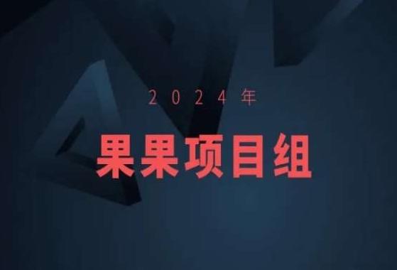 2024年果果项目组项目合集-果果最新项目-Xiaobei云