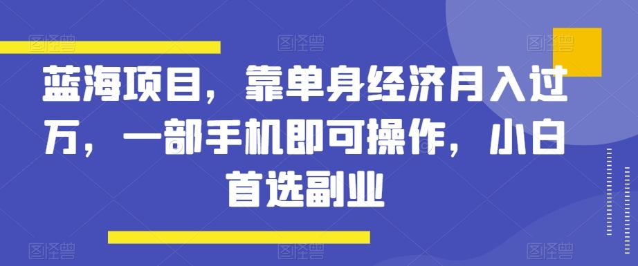 蓝海项目，靠单身经济月入过万，一部手机即可操作，小白首选副业【揭秘】-Xiaobei云