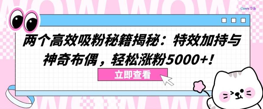 两个高效吸粉秘籍揭秘：特效加持与神奇布偶，轻松涨粉5000+【揭秘】-Xiaobei云