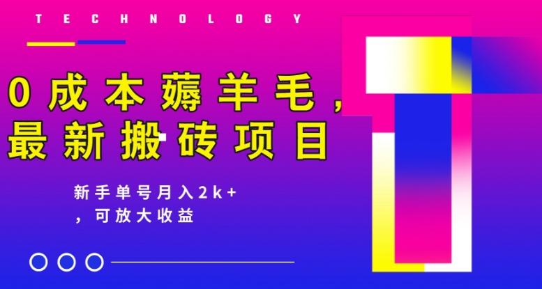0成本薅羊毛，最新搬砖项目，新手单号月入2k+，可放大操作-Xiaobei云