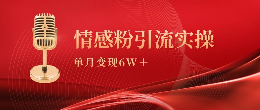 (9473期)单月变现6w+，情感粉引流变现实操课-Xiaobei云
