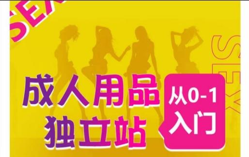 成人用品独立站从0-1入门，成品独立站运营全流程教学，七大好卖成品独立站推荐-Xiaobei云
