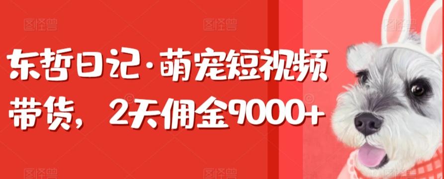 东哲日记·萌宠短视频带货，2天佣金9000+-Xiaobei云