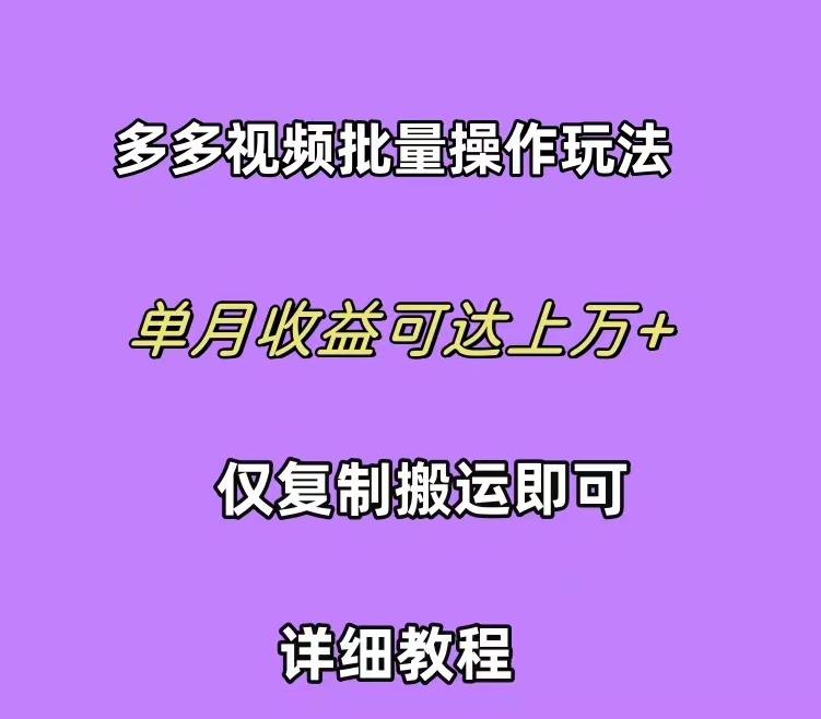 (10029期)拼多多视频带货快速过爆款选品教程 每天轻轻松松赚取三位数佣金 小白必…-Xiaobei云