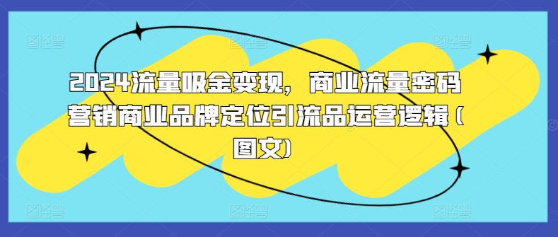 2024流量吸金变现，商业流量密码营销商业品牌定位引流品运营逻辑(图文)-Xiaobei云