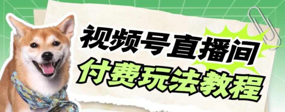 视频号美女付费无人直播，轻松日入500+【详细玩法教程】-Xiaobei云