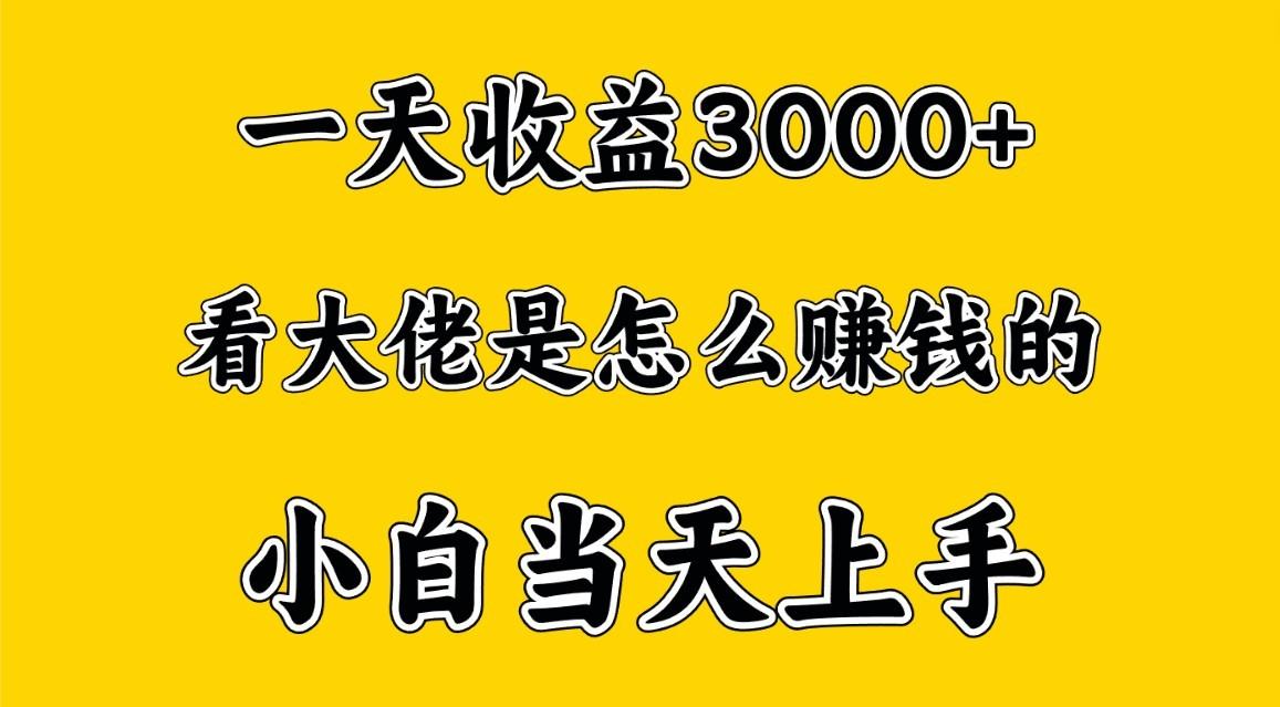 一天赚3000多，大佬是这样赚到钱的，小白当天上手，穷人翻身项目-Xiaobei云