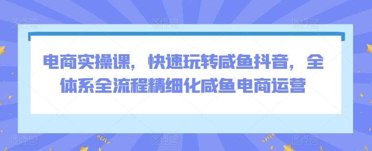 电商实操课，快速玩转咸鱼抖音，全体系全流程精细化咸鱼电商运营-Xiaobei云