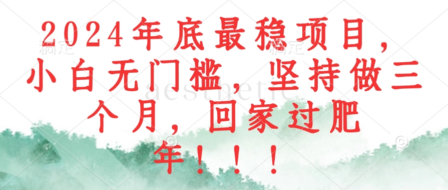 2024年底最稳项目,小白无门槛,坚持做三个月,回家过肥年!!!-Xiaobei云
