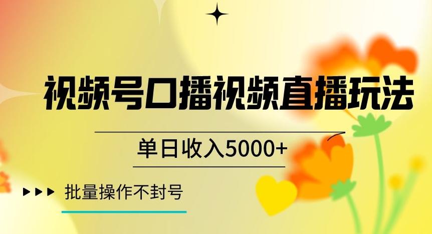 视频号囗播视频直播玩法，单日收入5000+，批量操作不封号【揭秘】-Xiaobei云