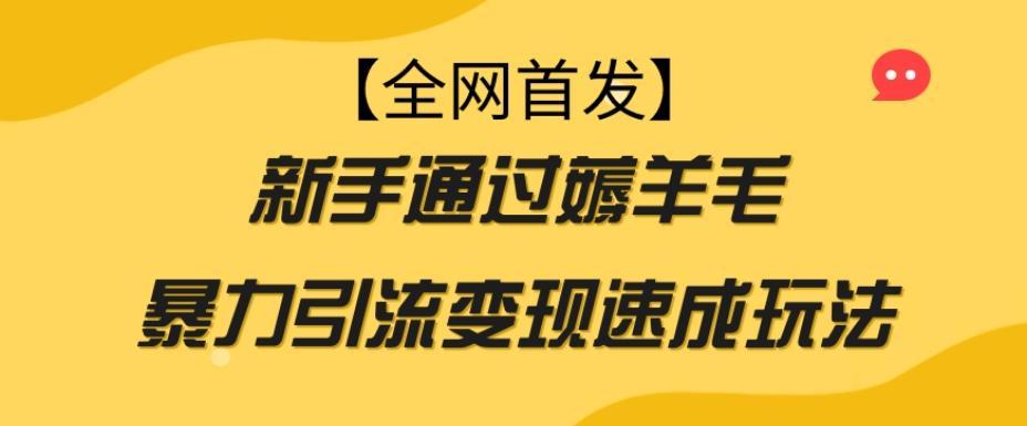 【全网首发】新手通过薅羊毛暴力引流变现速成玩法-Xiaobei云