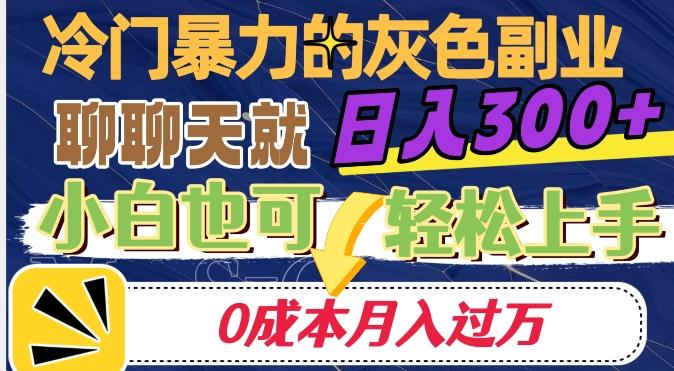 冷门暴利的副业项目，聊聊天就能日入300+，0成本月入过万【揭秘】-Xiaobei云